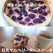 【1日１養生#36】豆乳マルベリーチーズケーキ